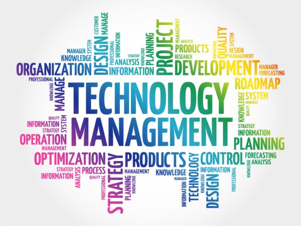 information technology and project management